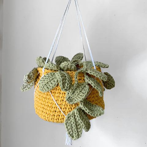 Hanging Plant Crochet Critter Pod